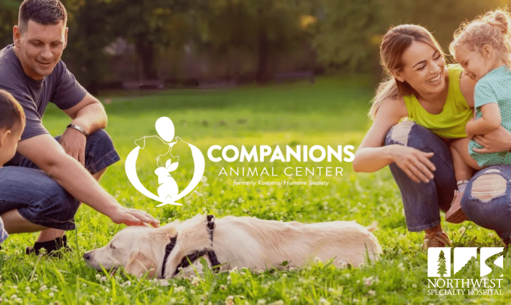 NWSH in the Community: Companions Animal Center - Northwest Specialty ...
