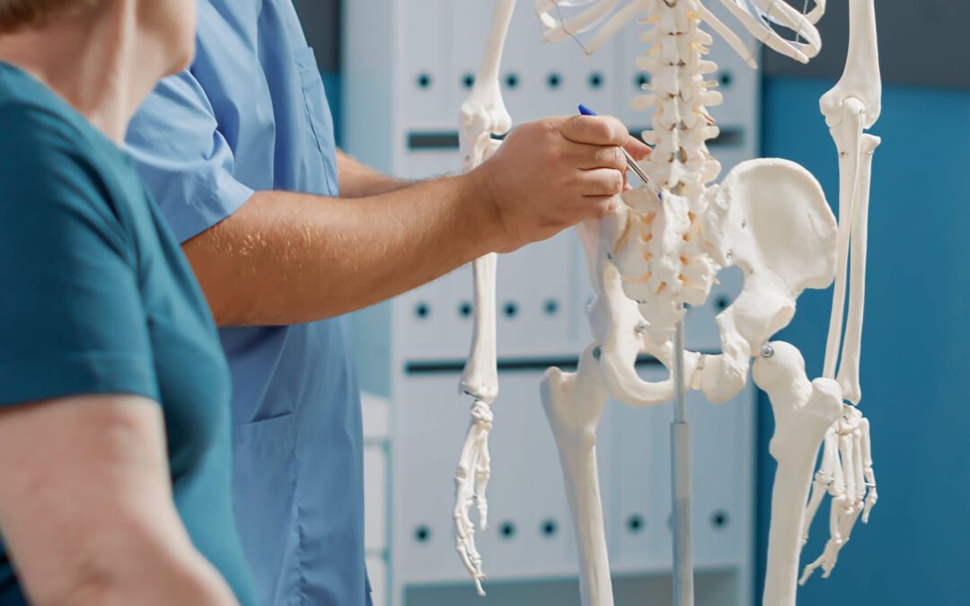 doctor pointing at skeleton to show back bones